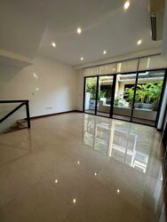 Holland Link (D10), Terrace #583606291